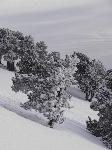 /Ski/2007/Images/1407/mini-Photo FRe 043Icon.jpg